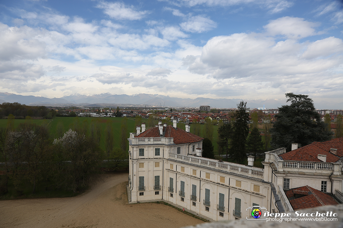 VBS_5994 - Sotto il Cervo - Palazzina di Caccia di Stupinigi.jpg